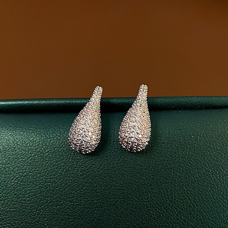 High Sense Light Luxury Minority Design Zircon Tassel Earrings