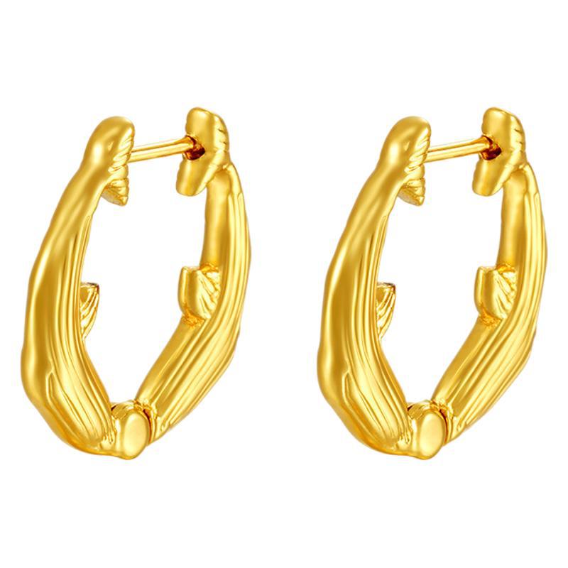 Women's For Titanium No Fading Ornament Versatile Earrings