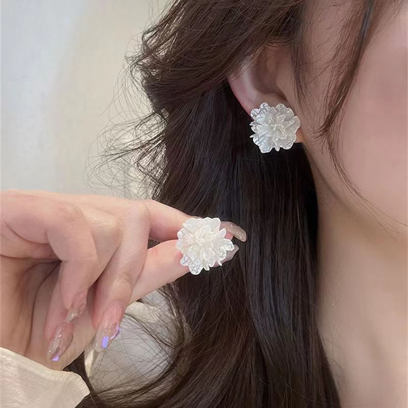 Elegant Tassel Casual Vacation Style Light Earrings