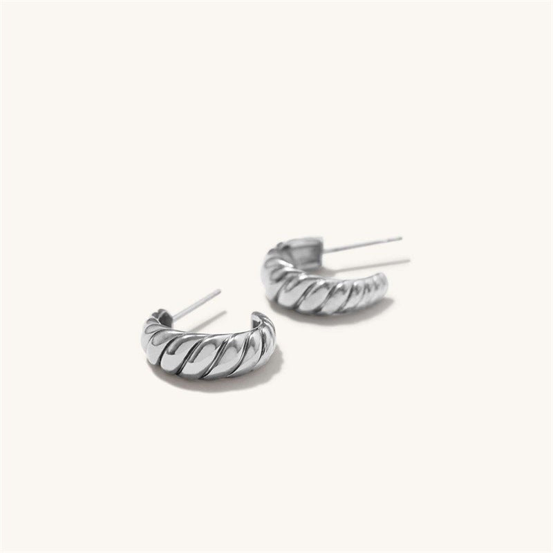 Women's Simple Horn Twist Stainless Steel Arc Ear Pin Earrings