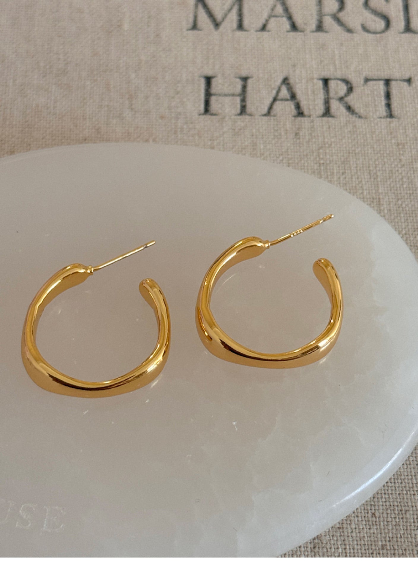 Gold Electroplated Sier Needle Shaped Simple Niche Personalized Cold Earrings